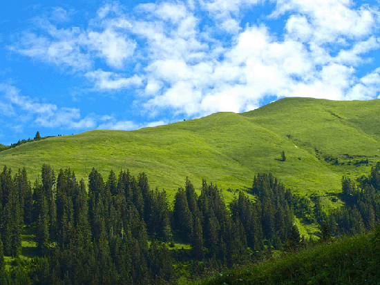 Jahresausflug Lechtal/Österreich 2016